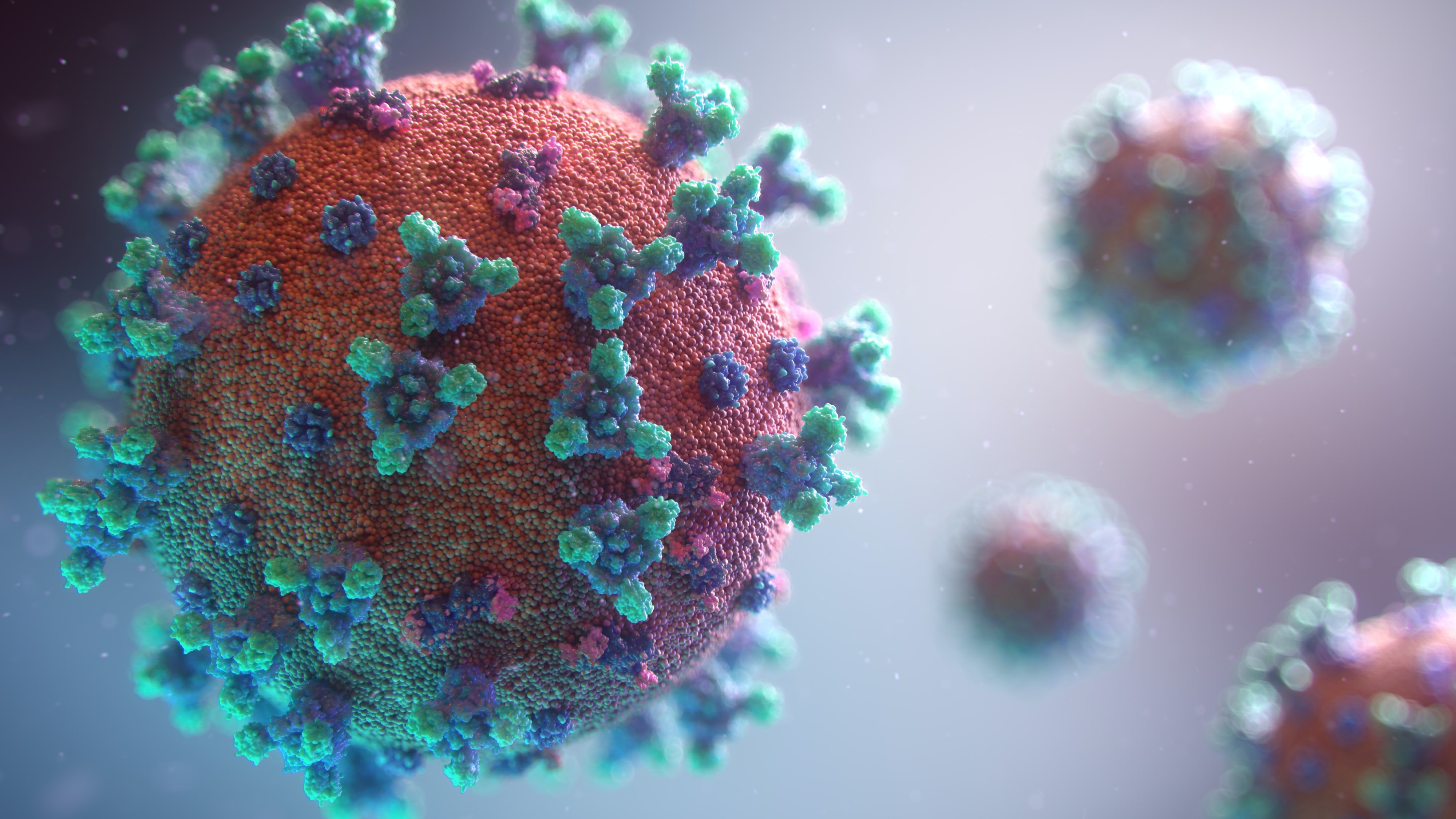 La nueva variante de la covid de Sudáfrica podría ser contagiosa y resistente