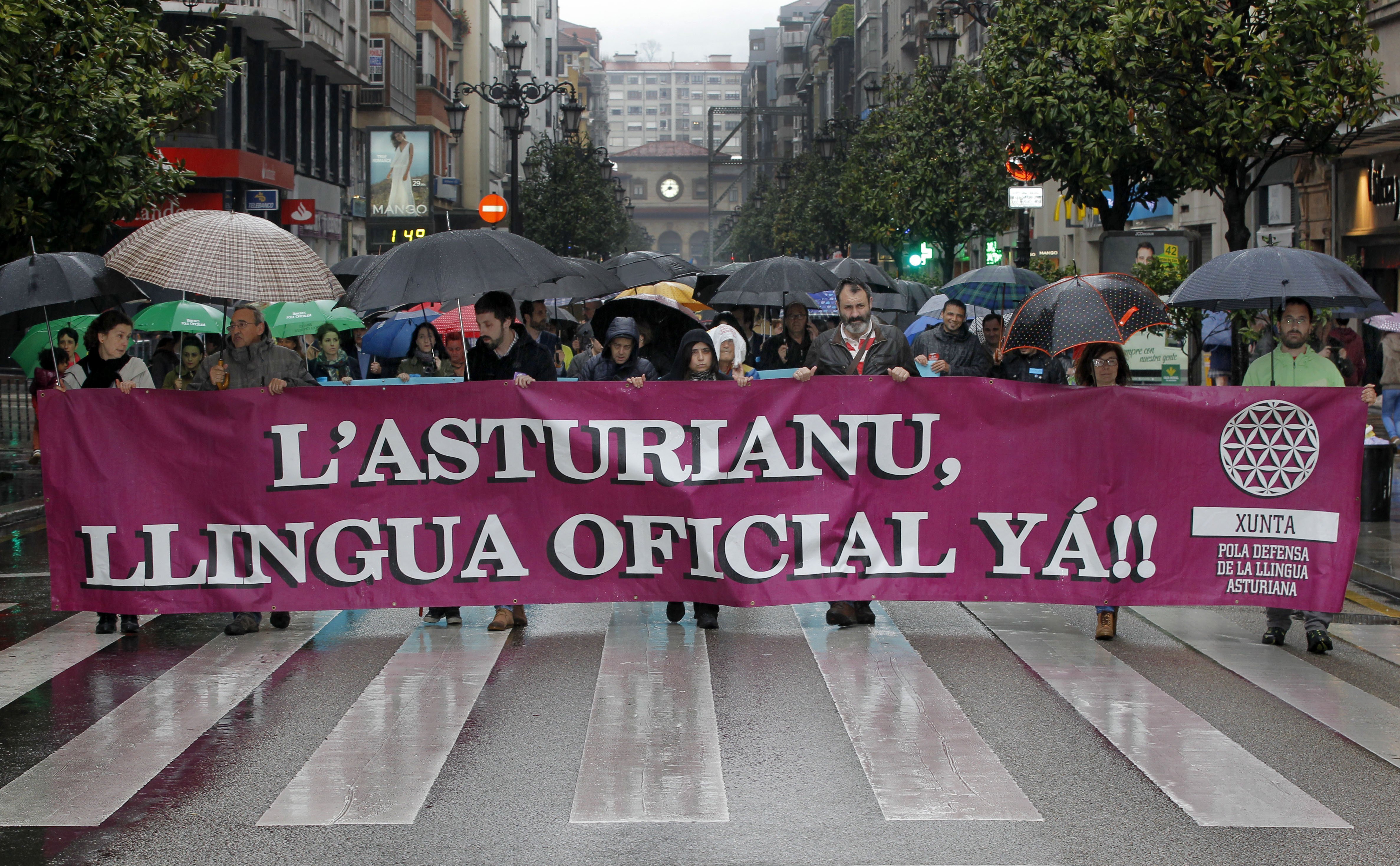 La lengua asturiana reivindica (un año más) la oficialidad