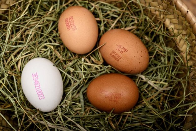 huevos numerados