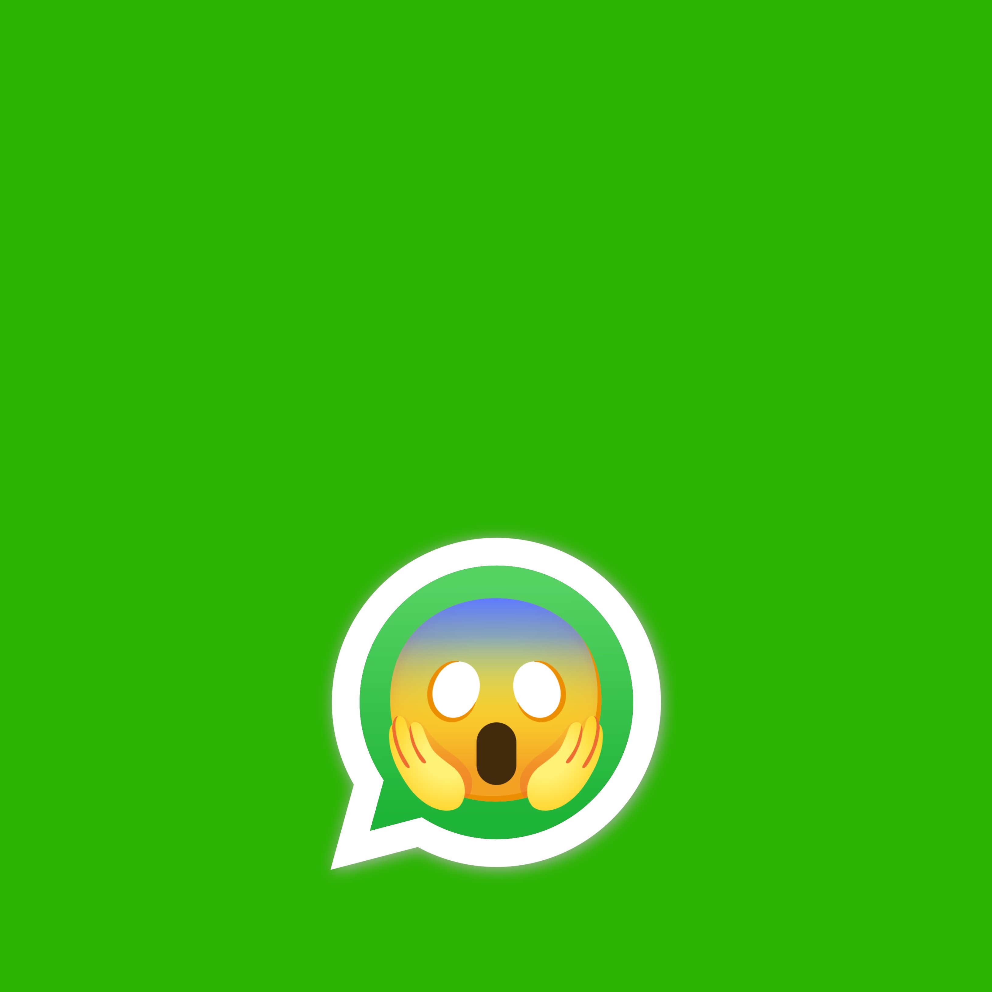 Actualitza ja WhatsApp: una vulnerabilitat exposa les teves dades