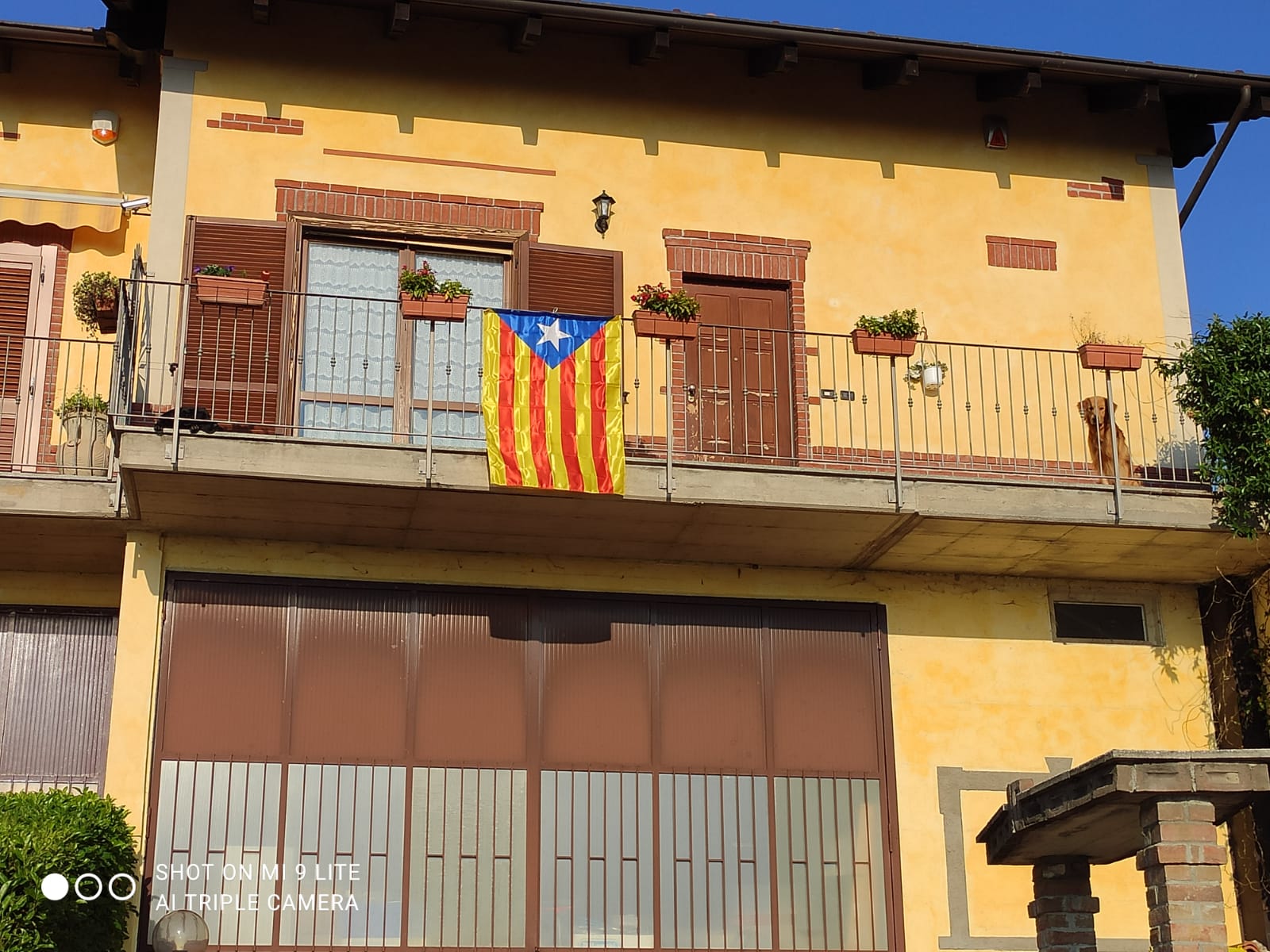 También desde Auckland, Amèlia nos envía una imagen! También desde Auckland, Amèlia nos envía una imagen!