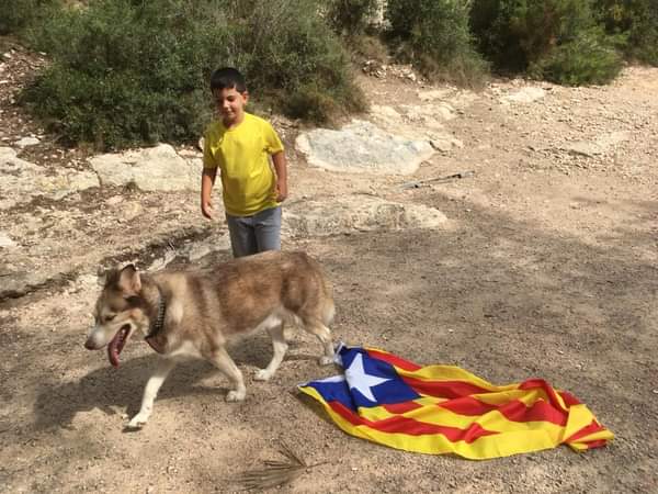 Des del Pont del Diable (Tarragona), la Maite, en David i Roi en envien aquesta fotografia