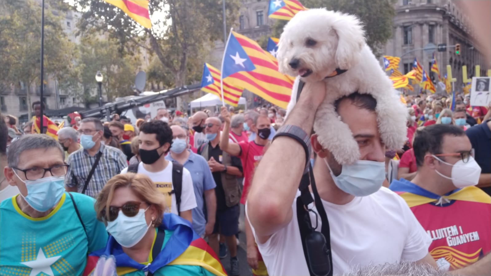 Des de Via Laietana els companys peluts també són a la manifestació. Foto: Jordi Vila Cerezo