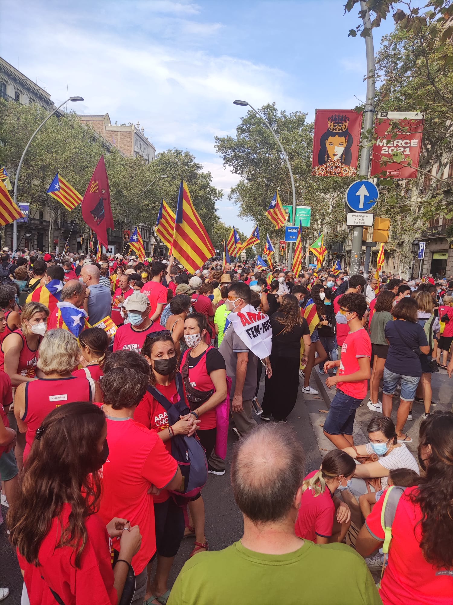 Fotografia de la multitud a la manifestació de la Diada de Catalunya a Barcelona. Autor: Xavier Ibor