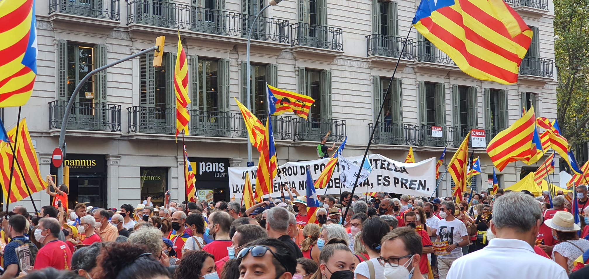 Fotografia de la manifestació de Barcelona de la Diada Nacional de Catalunya Autor: Salvador Foz