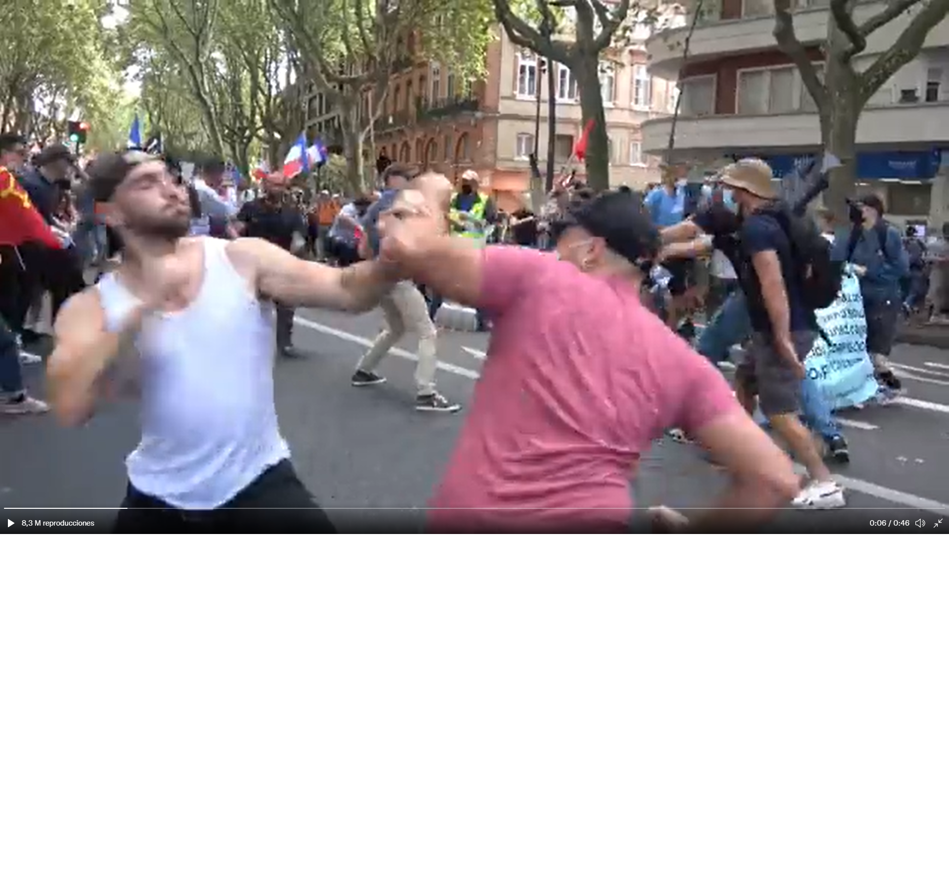 Batalla campal a Tolosa en una manifestació contra el certificat covid