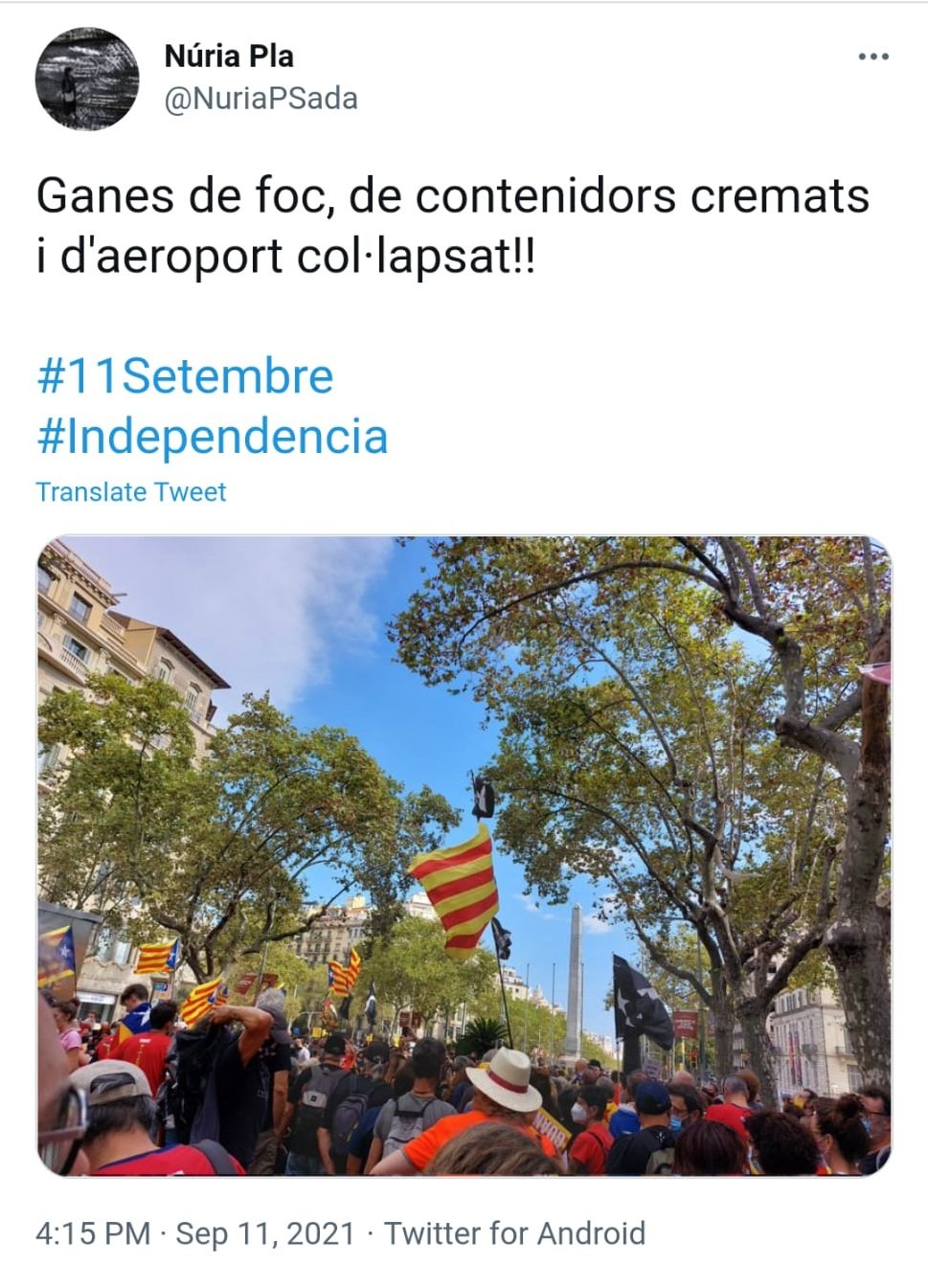 DIADA PLA