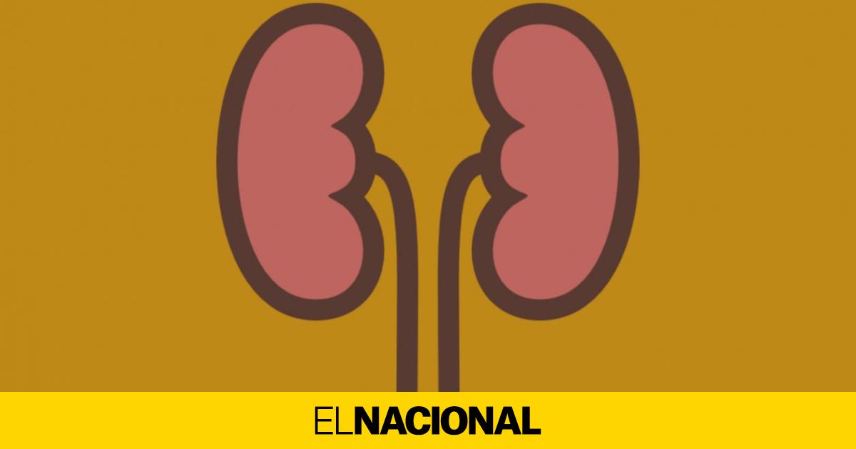 Estos son los beneficios de la vitamina D para los riñones de los ...