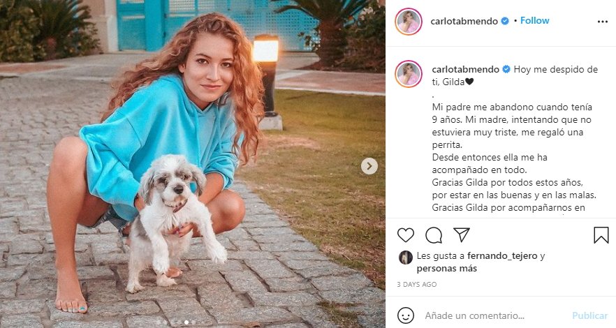 Carlota Boza  perra fallecida @carlotabmendo