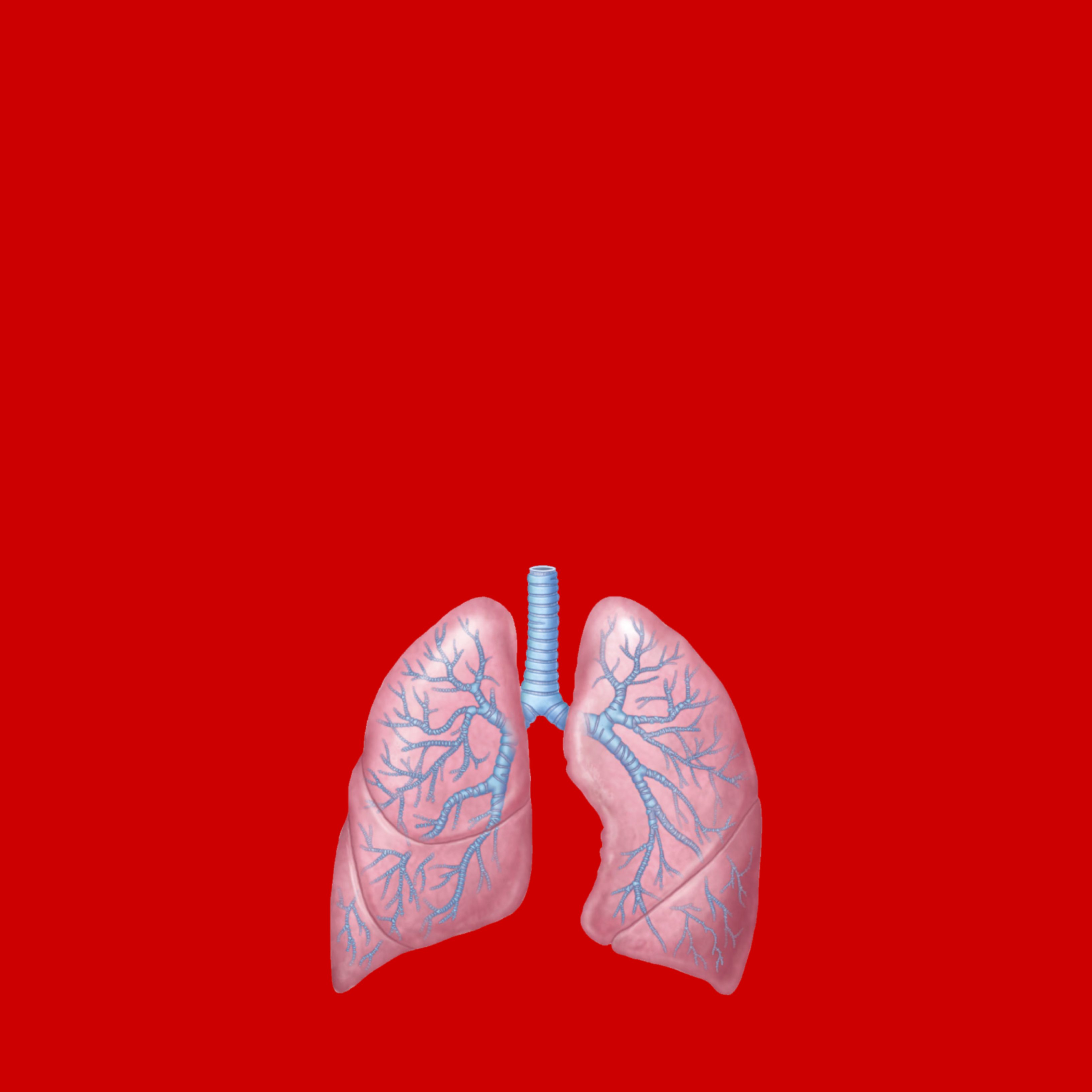 La teràpia dirigida, pot ser el tractament permanent de càncer de pulmó