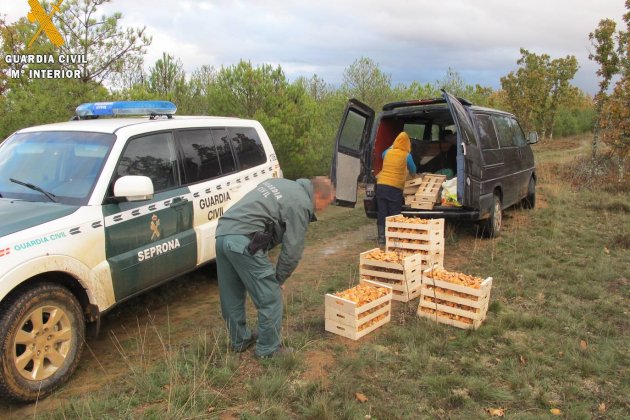 guardia civil setas