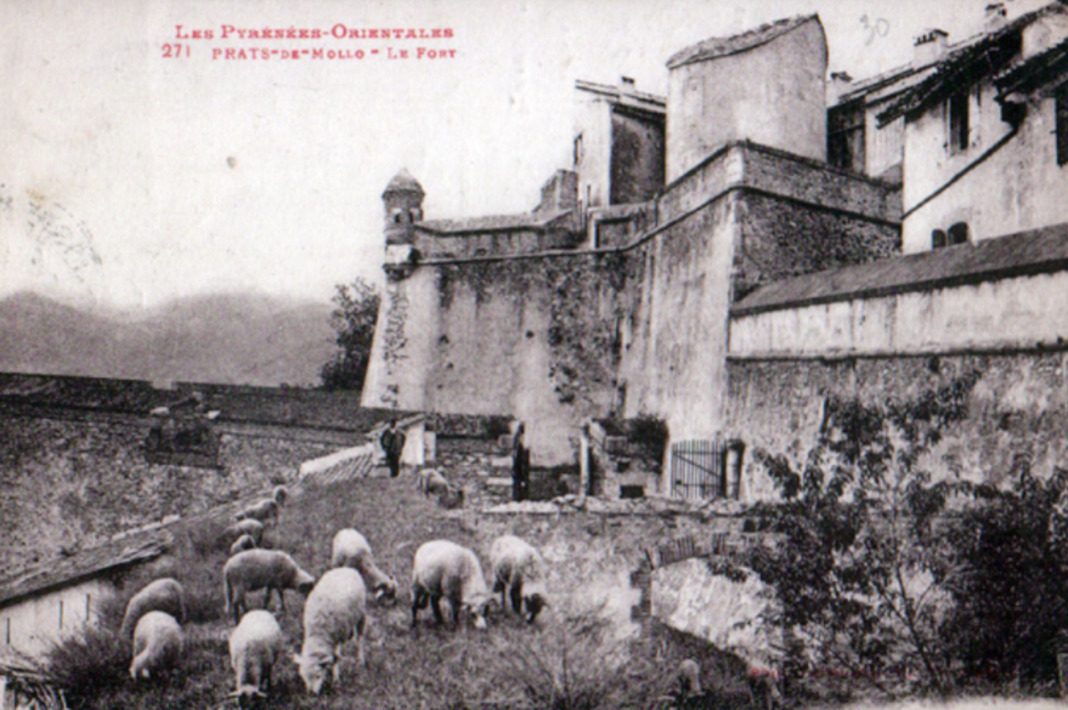 Prats de Molló (1925). Fuente Geneanet France (1)