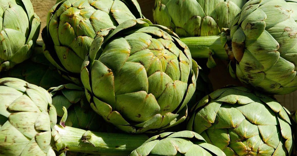 Mercadona pone a la venta unas cápsulas de alcachofa para regular el peso