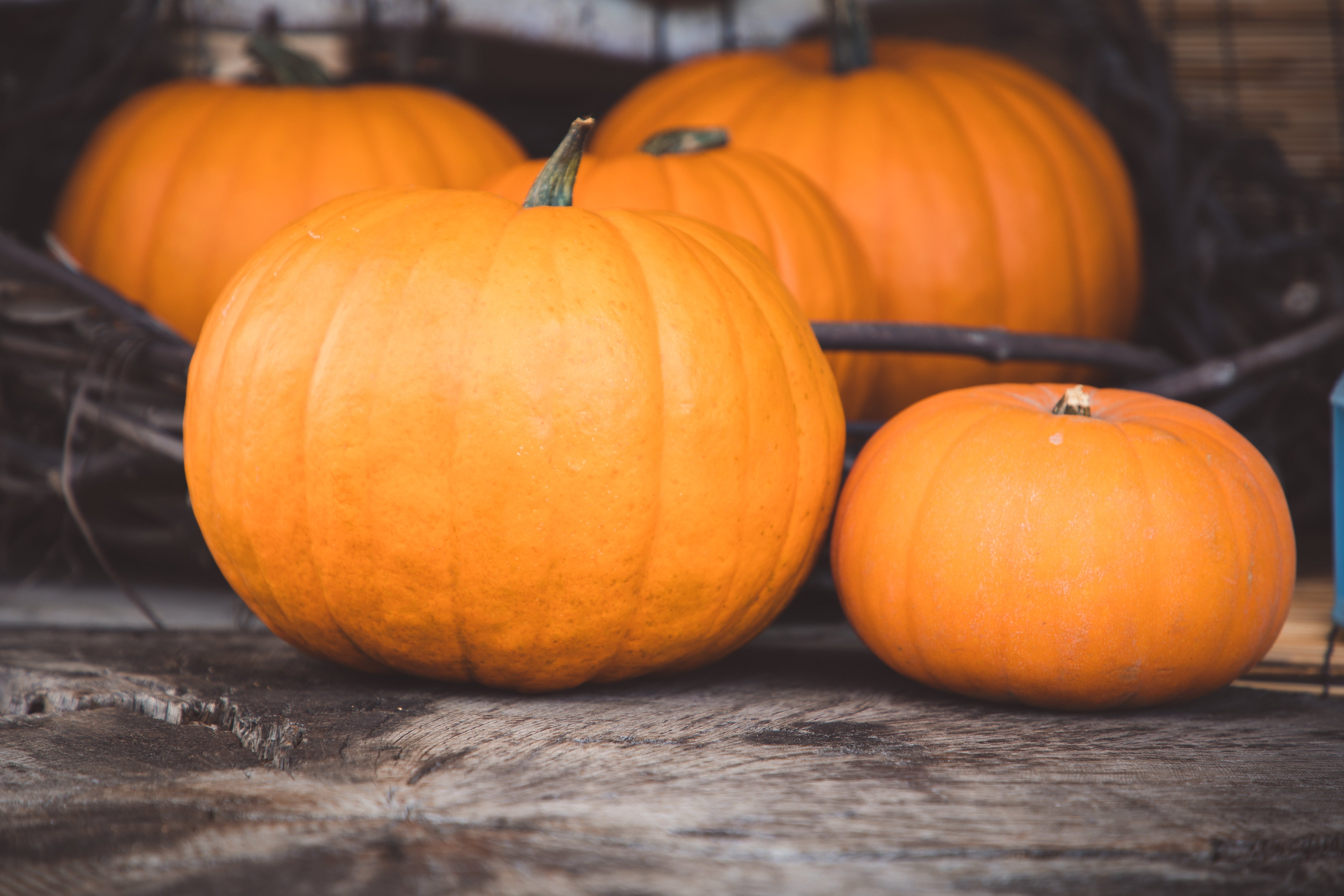 Hazte con la despensa indispensable del otoño