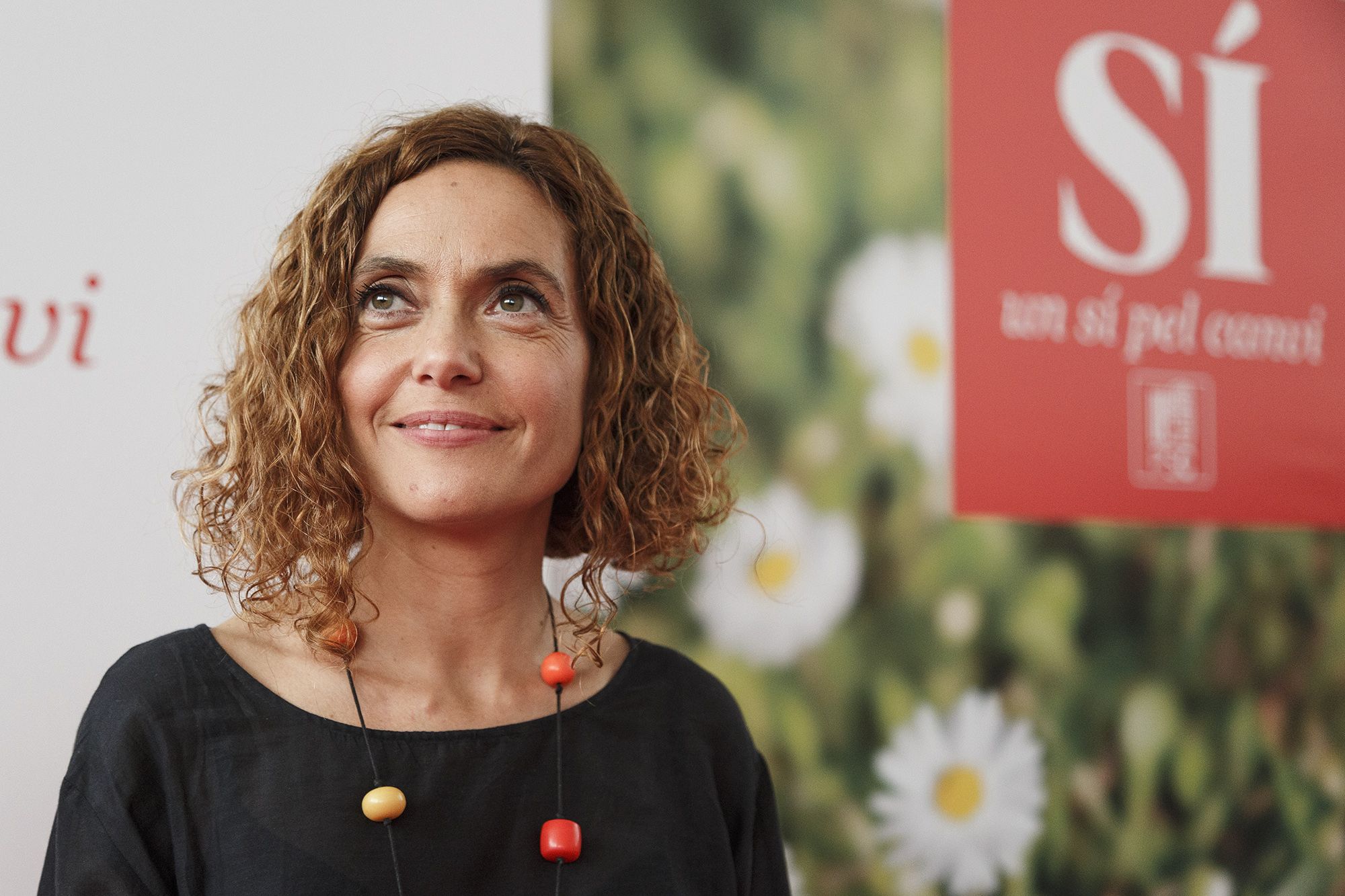 Batet: "Es más positivo un referéndum constitucional que uno de independencia"