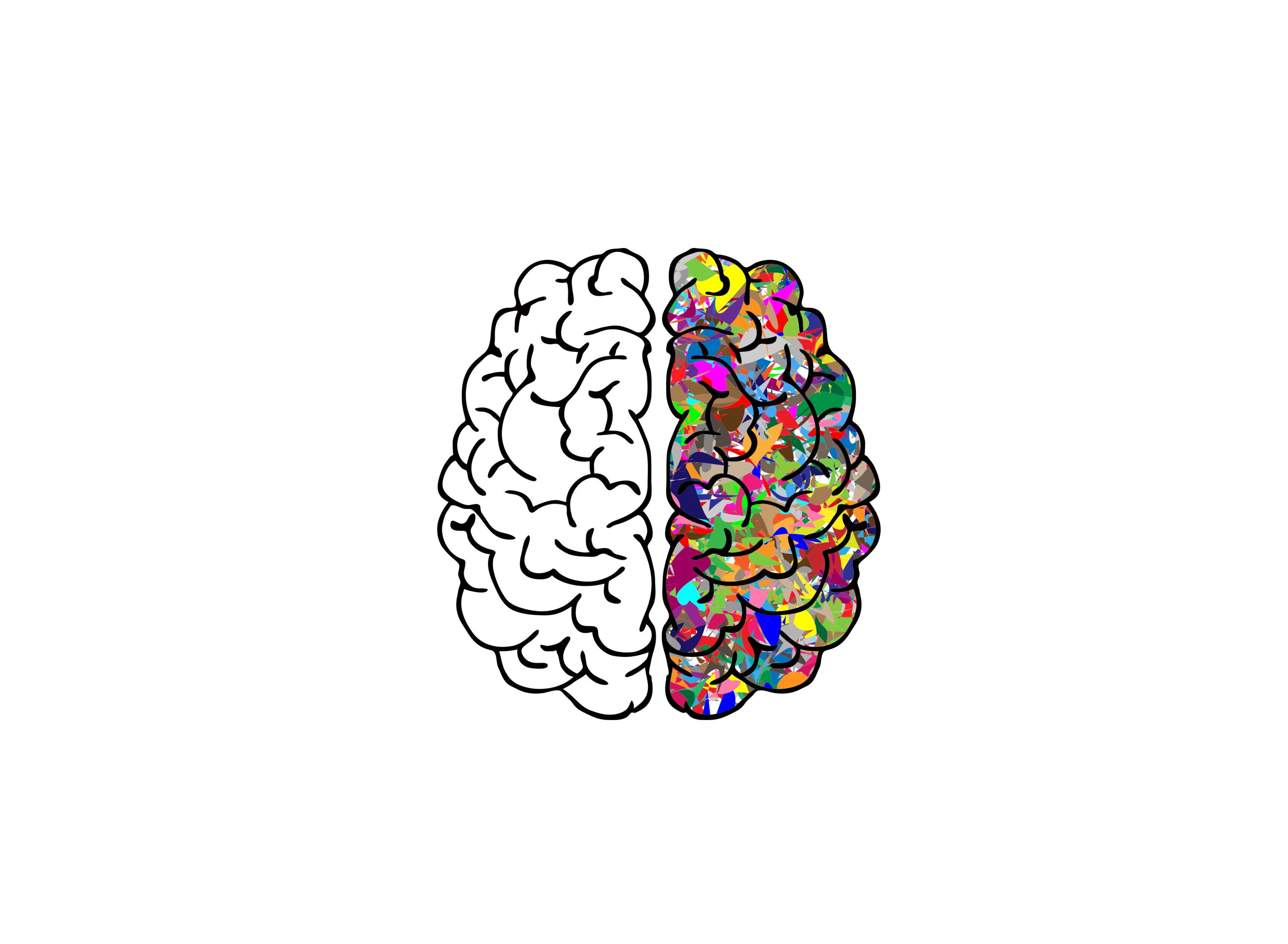 Dos mitades cerebro