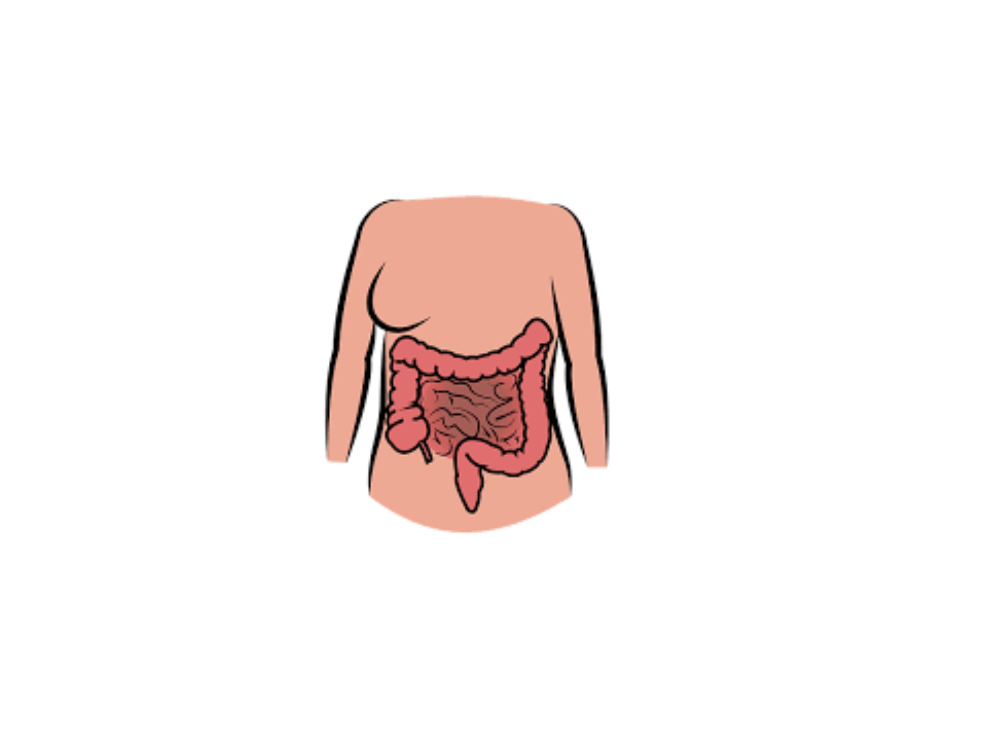 Cuerpo con intestinos