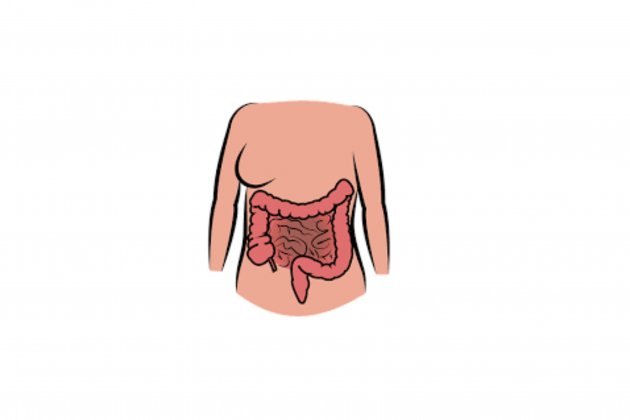Cuerpo con intestinos