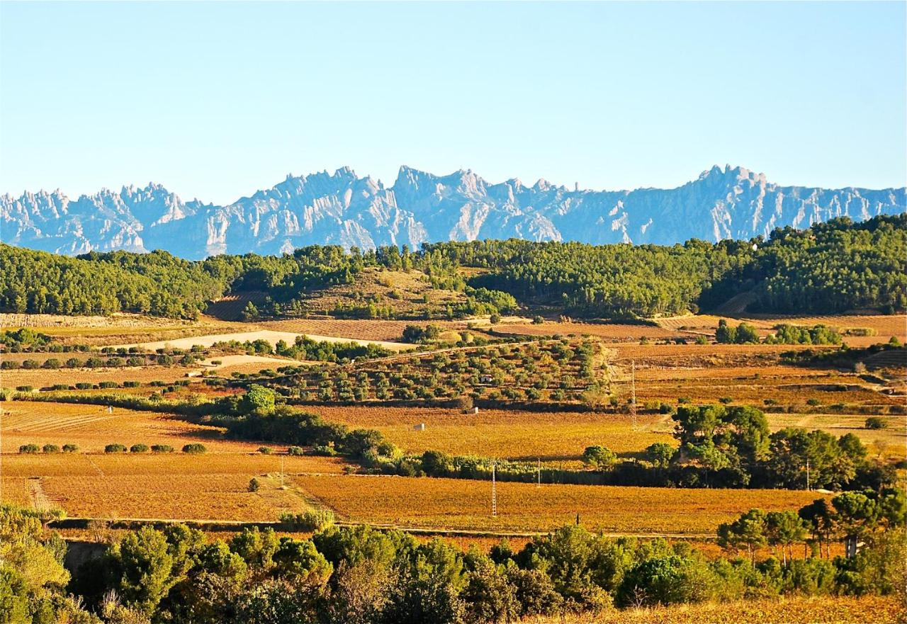 Allotjaments a l'Alt Penedès per gaudir aquesta tardor. Arrasen a Booking