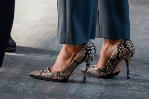 zapatos de piel de serpiente letizia GTRES