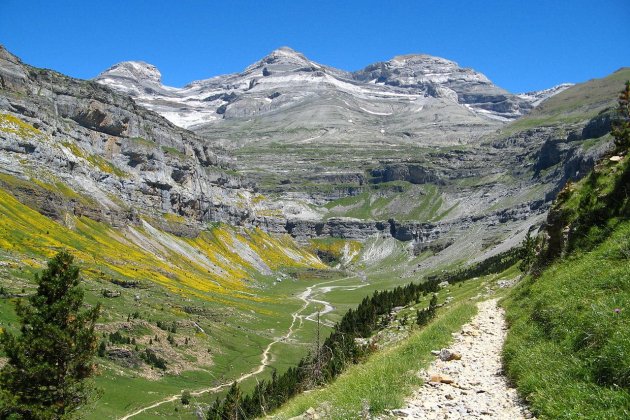 pirineo