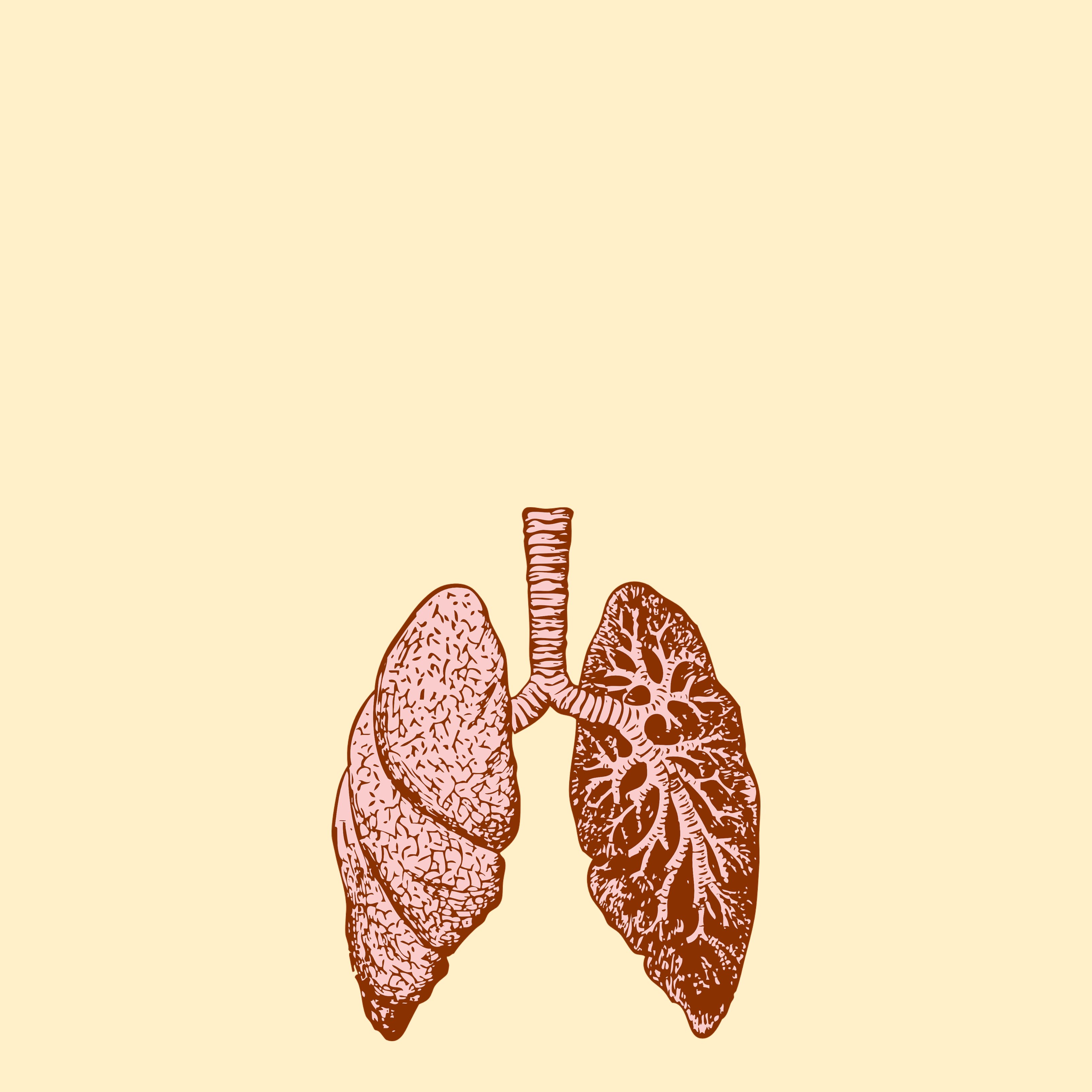 Por qué es tan importante el programa de cribado del cáncer del pulmón