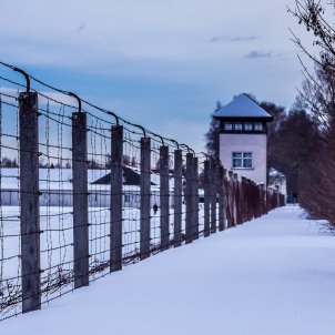 genocidi Dachau Pixabay genocidi Dachau Pixabay
