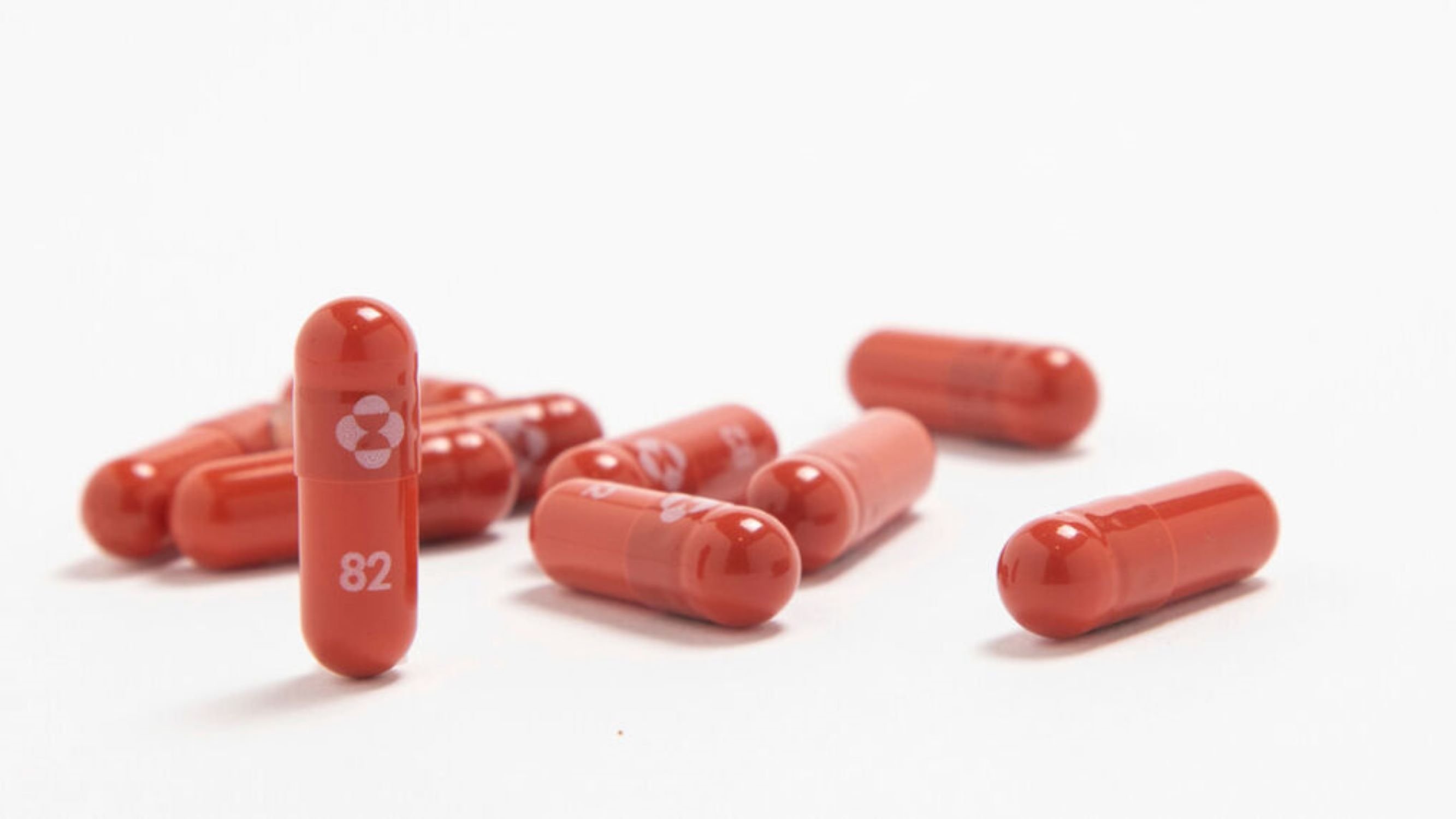 Molnupiravir, primera pastilla contra la Covid-19 / Foto: Merck / Ridgeback Biotherapeutics