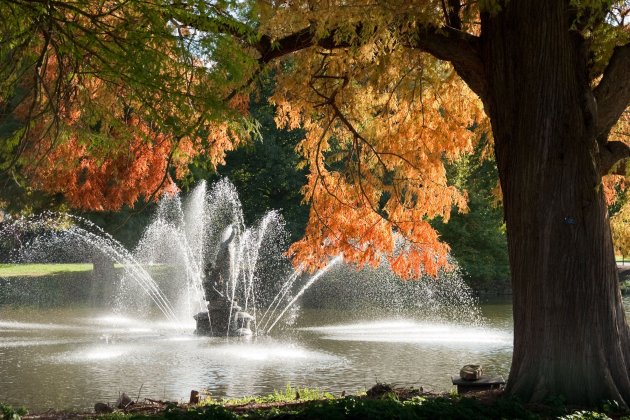 Autumn colour at Kew Gardens (2). Credit RBG Kew