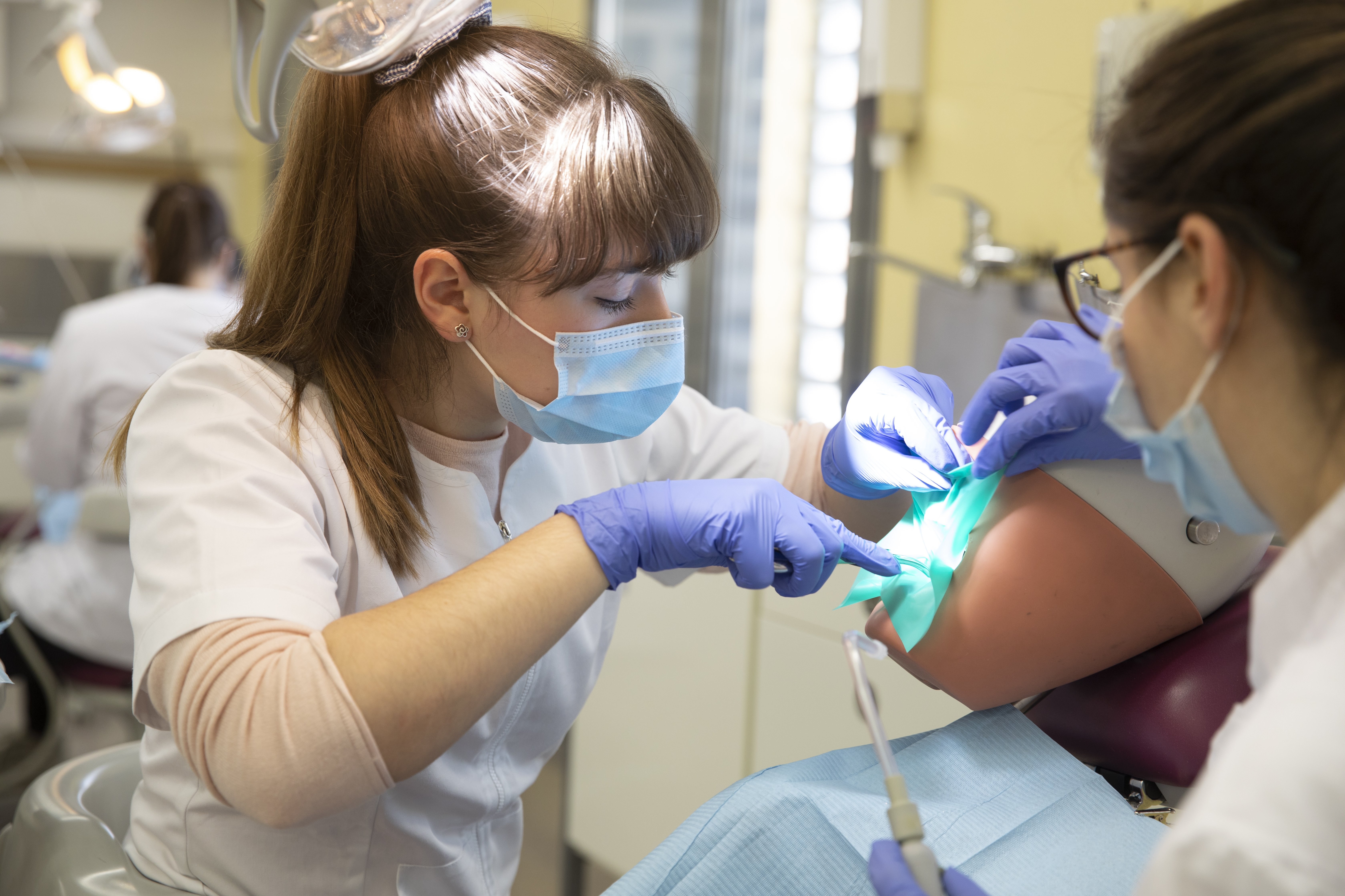 FP Departament d'Educació (4)