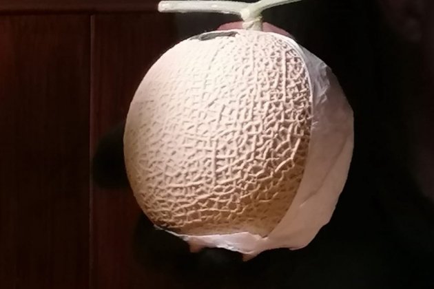 crown Melon de Fukuroi, shizuoka