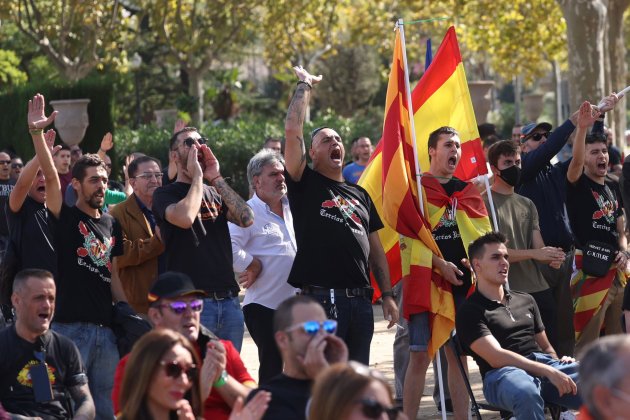 manifestacion ultra en la plaça Sant Jordi, montjuic, saludos fascistas, discurso - Sergi Alcàzar