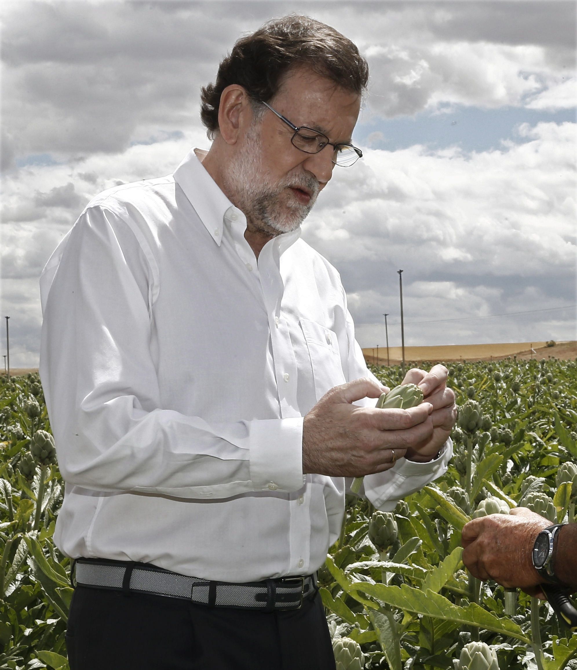 Rajoy, "emocionat" per les carxofes de Tudela