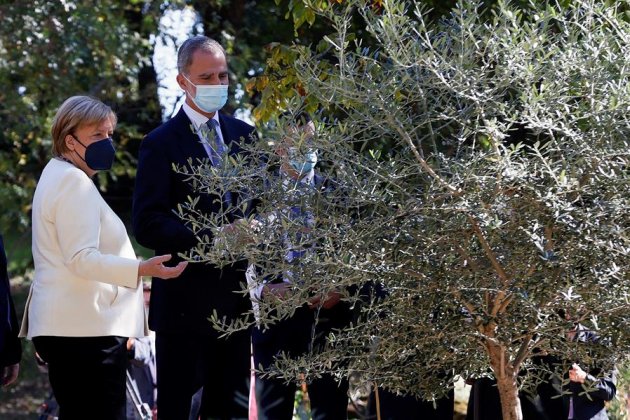 Felipe y Angela Merkel olivo EFE