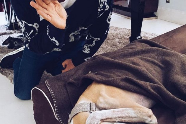 Jorge Javier Vázquez galgo 2