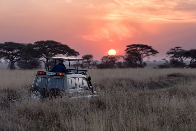 hu chen unsplash / Safari africa