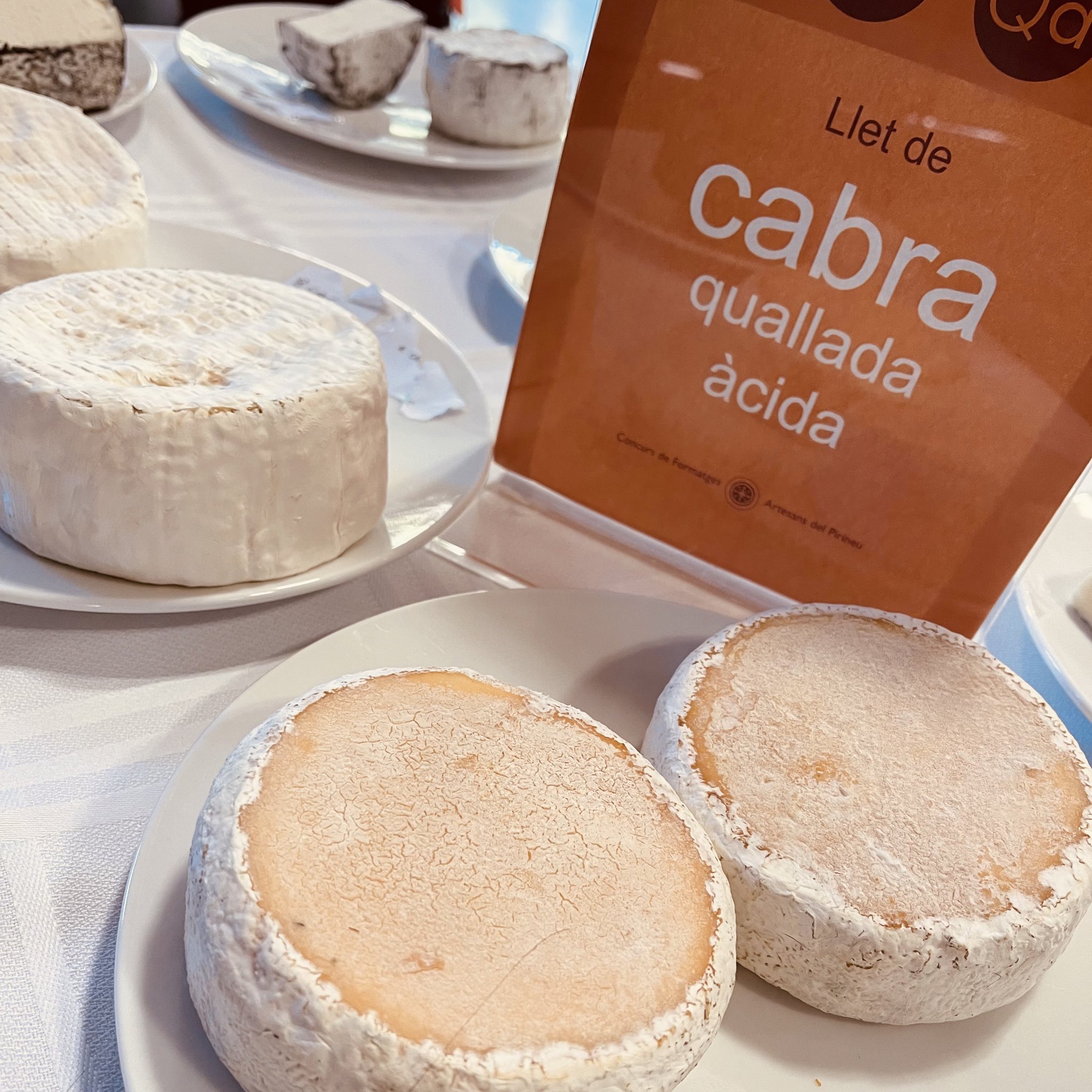 Concurso Feria de Quesos Artesanos del Pirineu Queso de Cabra / Twitter: Feria Sant Ermengol