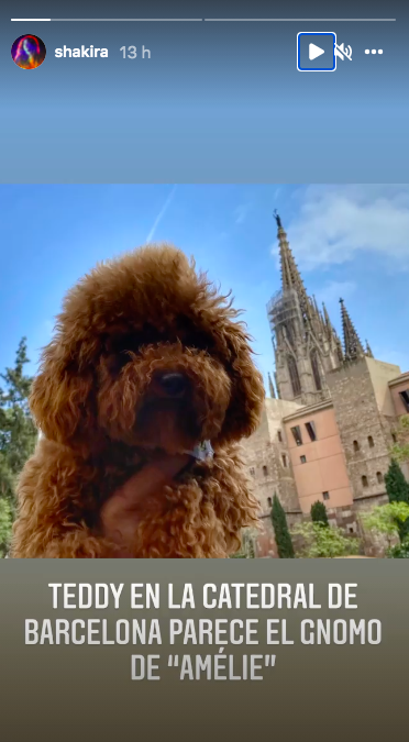 shakira perro catedral barcelona