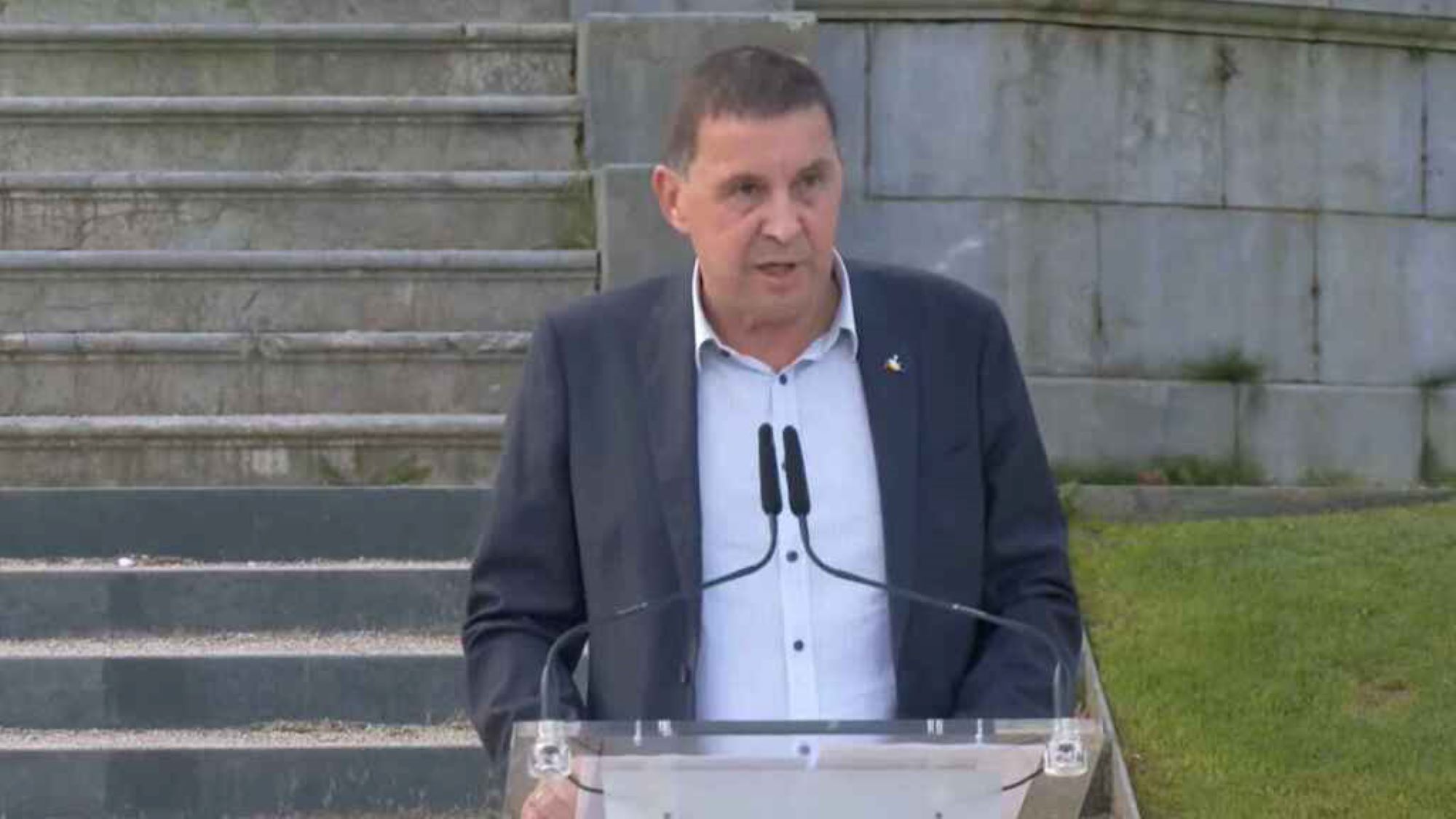 Otegi, captura de pantalla, declaraciones