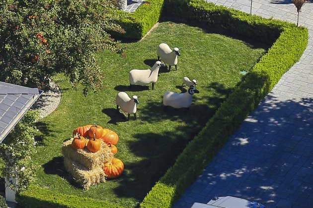 Ovejas en el jardín de Kylie Jenner