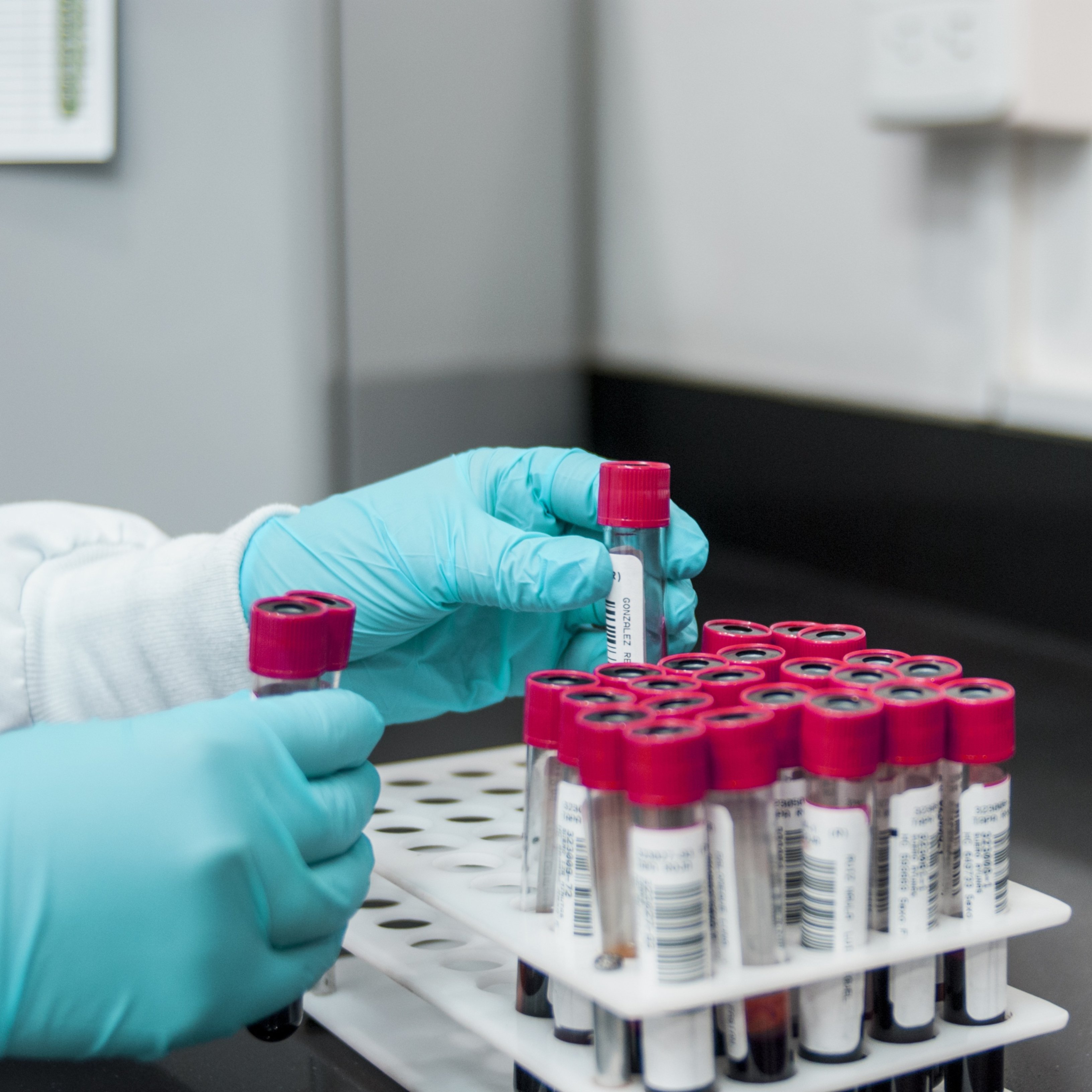 Troben una manera de reactivar el sistema immunològic per enfrontar-se al càncer