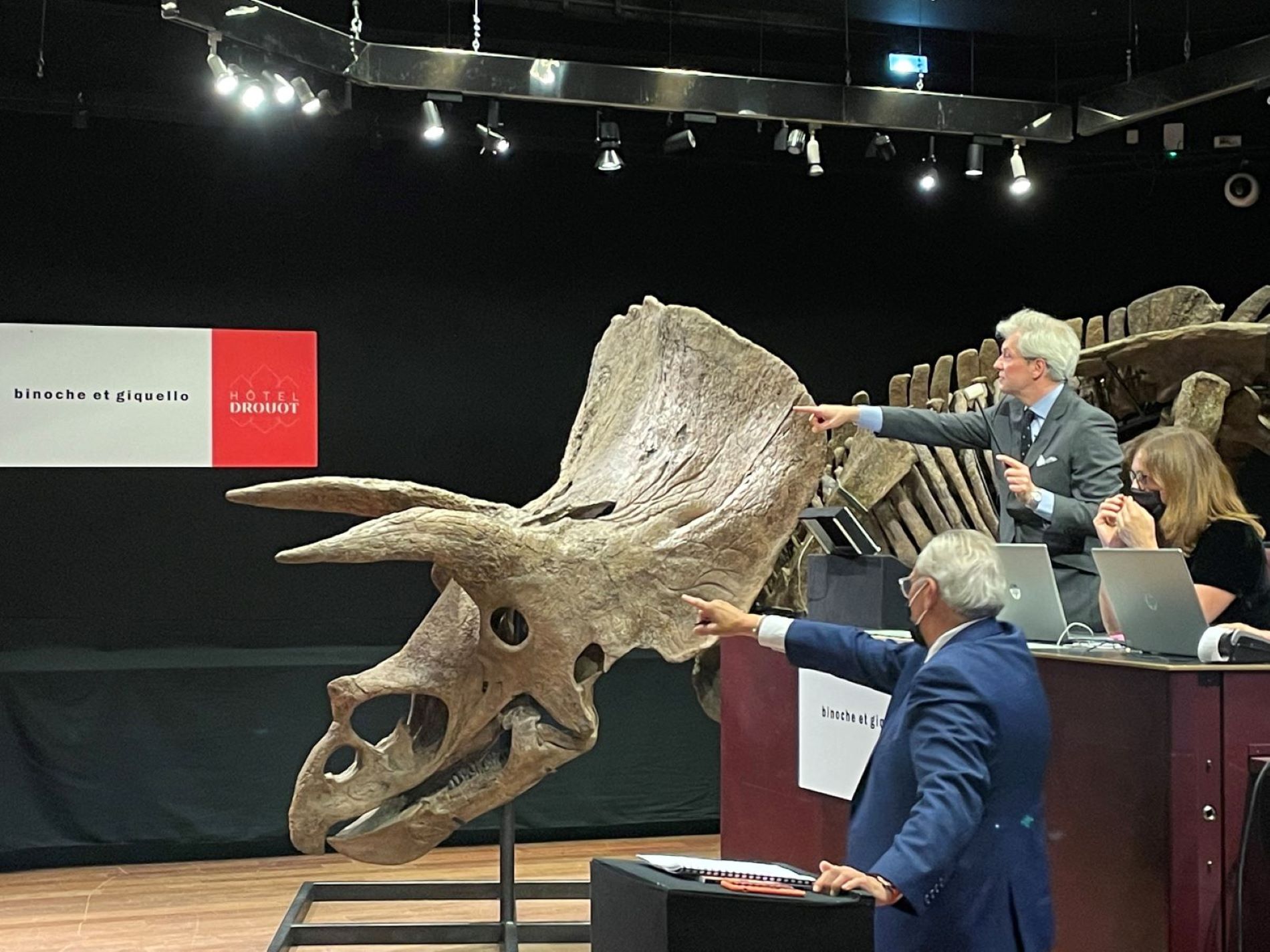Més de 6 milions d'euros, el preu del triceratops més gran mai trobat