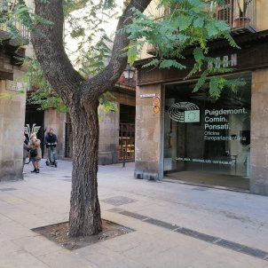 Obre l'oficina europarlamentària de Puigdemont, Comín i Ponsatí a Barcelona