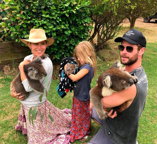 elsa pataky koalas z