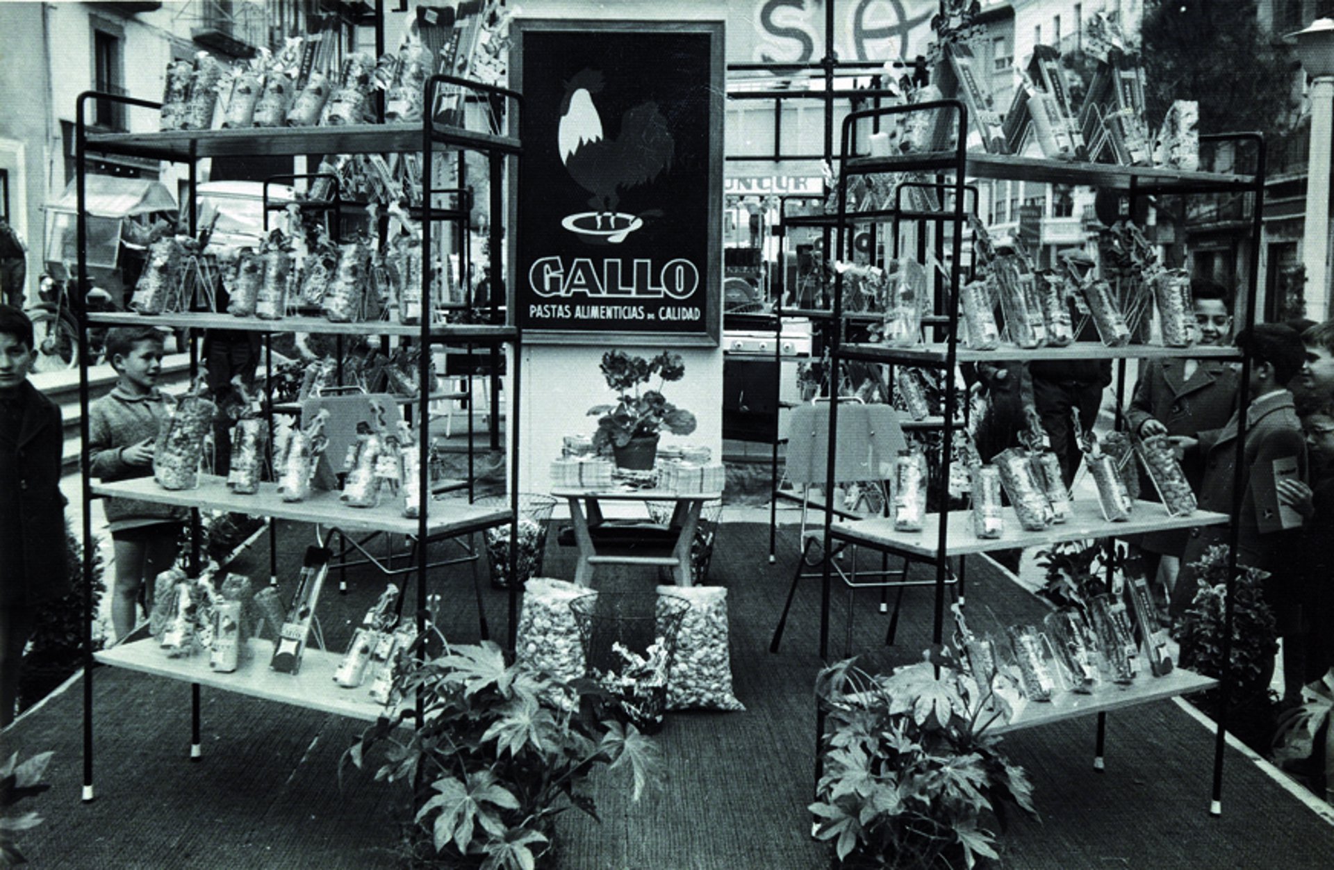 Pastas Gallo (1)