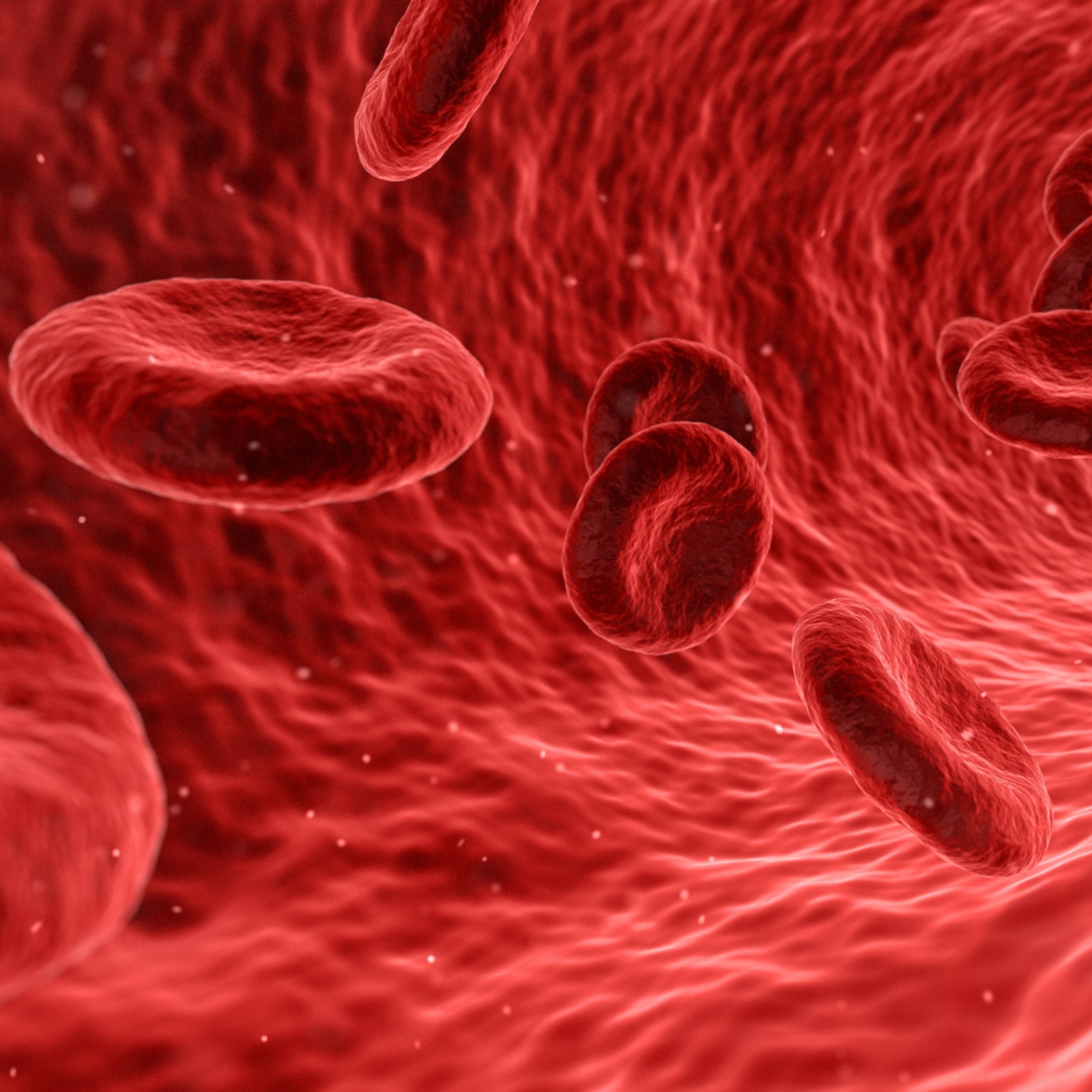 Los niveles de azúcar idóneos para evitar accidentes cardiovasculares