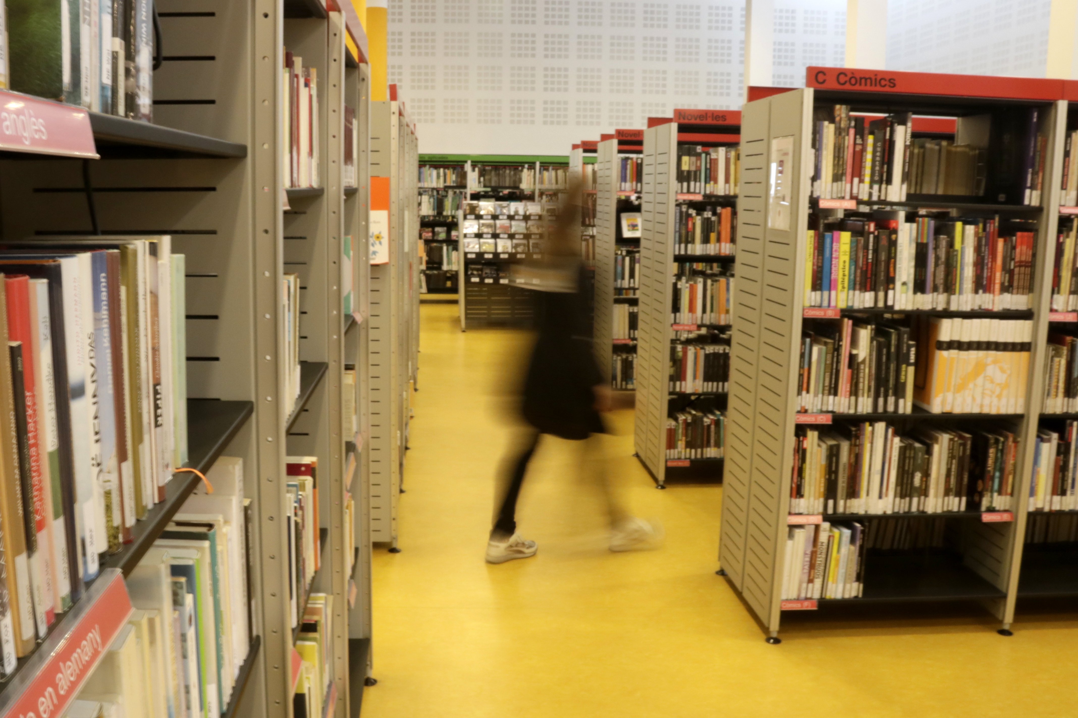 Crisi lingüística a les biblioteques: només 1 de cada 4 llibres està en català