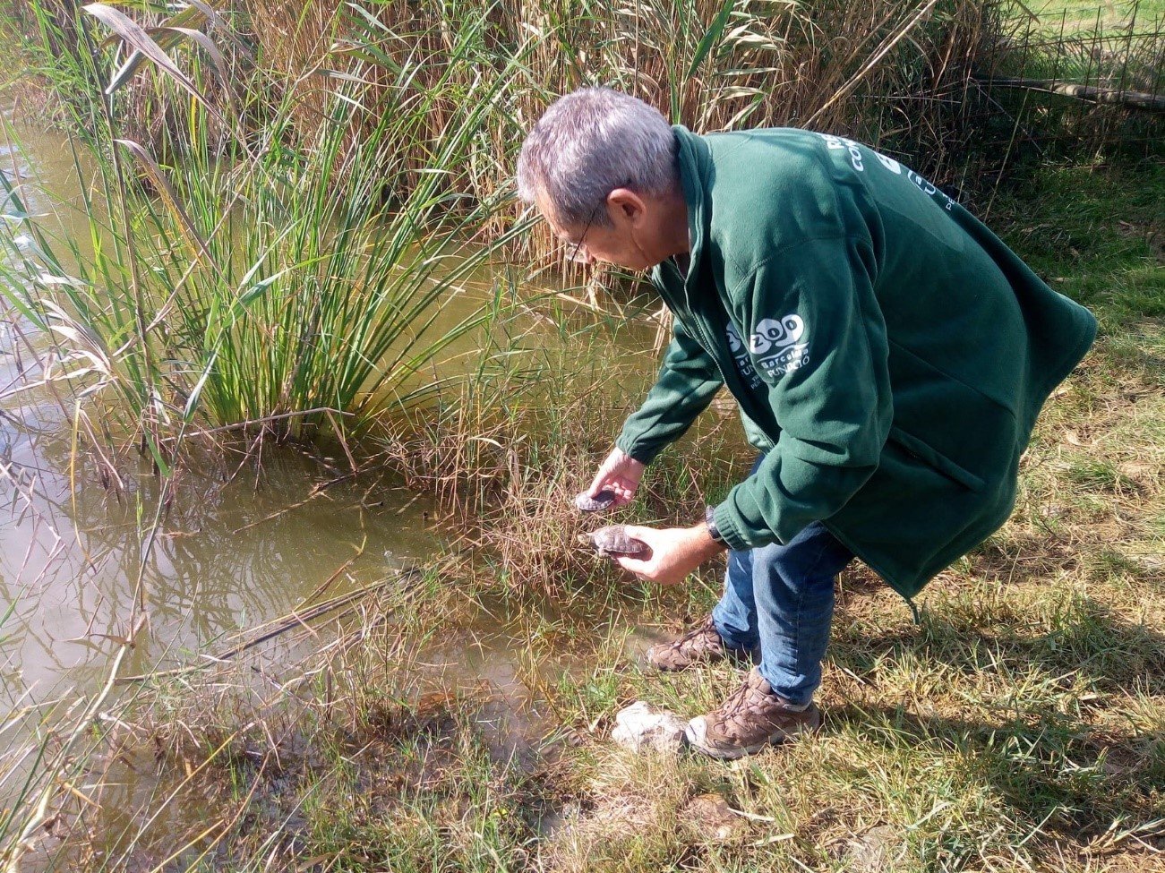 El Zoo de Barcelona salva especies autóctonas amenazadas