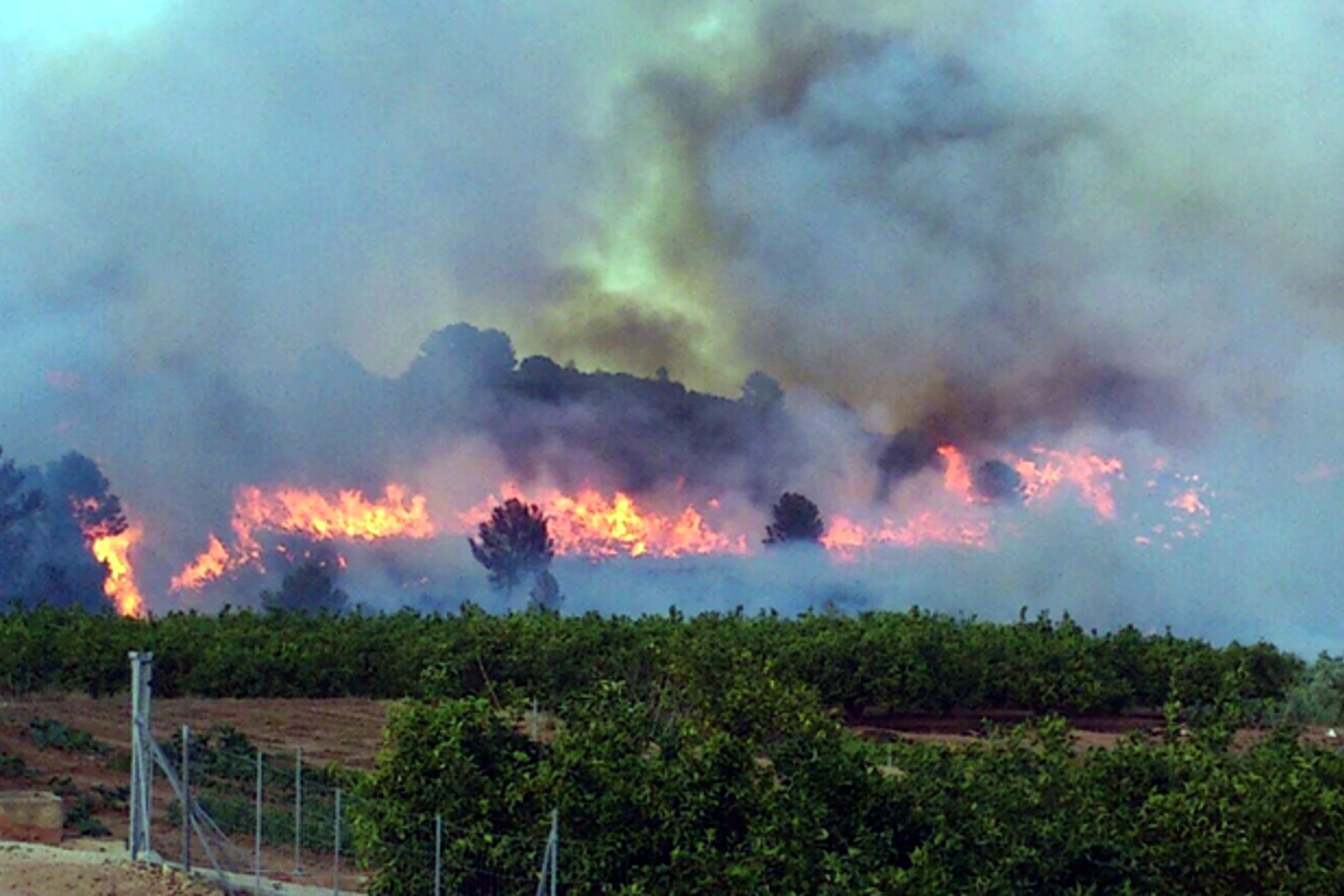 Quatre incendis al País Valencià cremen 2.800 hectàrees