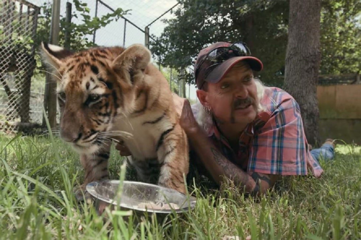 'Tiger King' y otros estrenos de Netflix que no te puedes perder este noviembre 'Tiger King' y otros estrenos de Netflix que no te puedes perder este noviembre